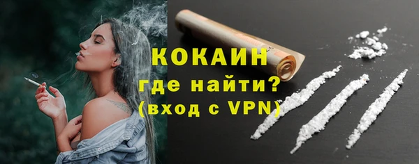 бошки Белокуриха