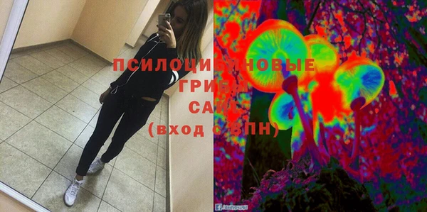 бошки Белокуриха